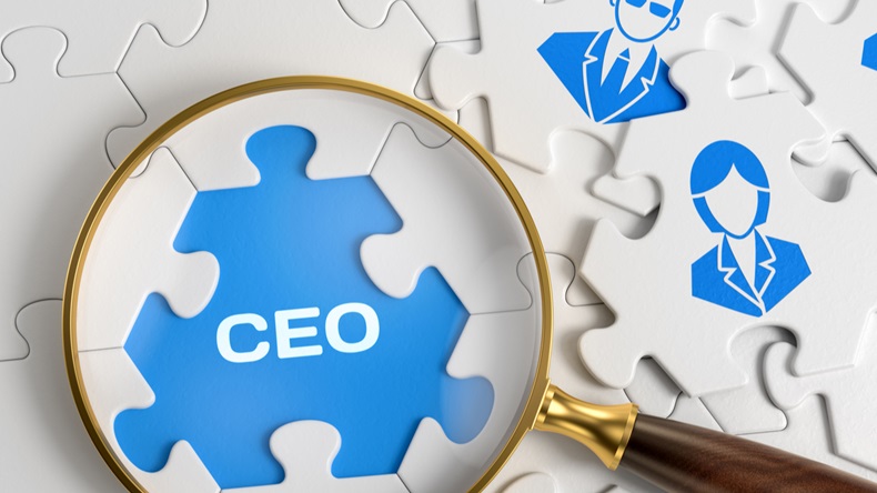 CEO_Magnified_Puzzle