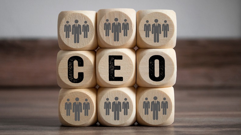 Wooden_Cubes_CEO