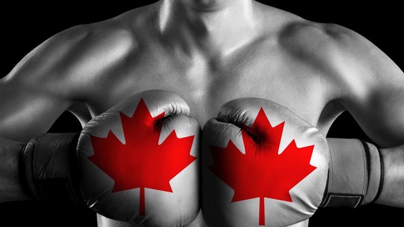 Canada Boxing Gloves Boxer Fight