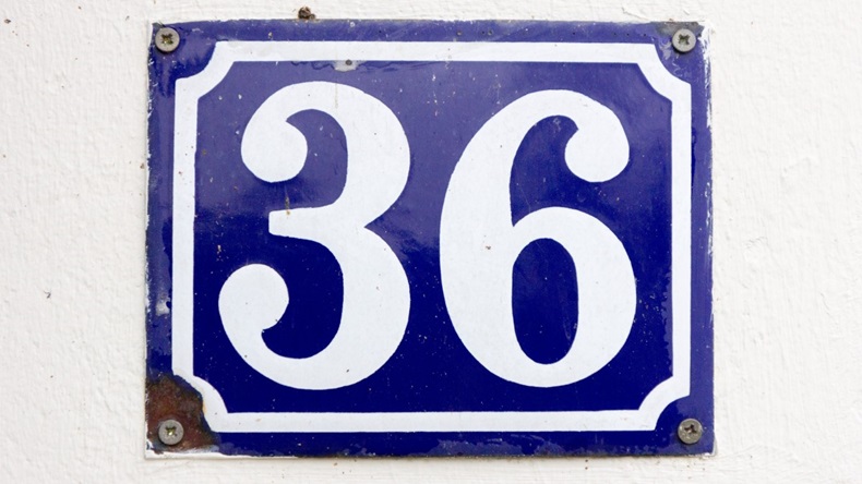 Number 36 House Sign