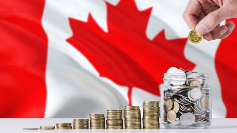 Canada flag money coins hand