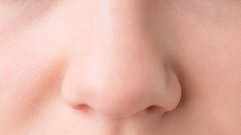 Nose Nasal Nostrils