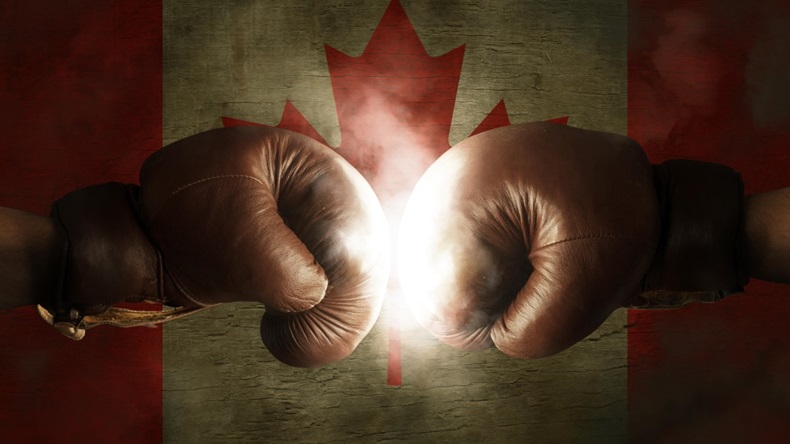 Canada Flag Boxing Gloves