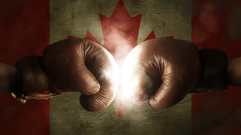 Canada Flag Boxing Gloves Fight