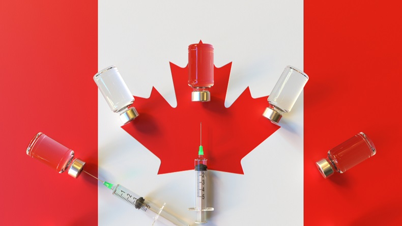 Canada flag five vials syringes