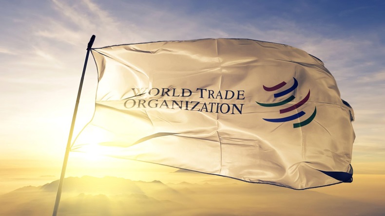 WTO World Trade Organization Flag
