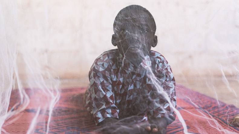 Boy with Mosquito Net for Protection against Malaria
