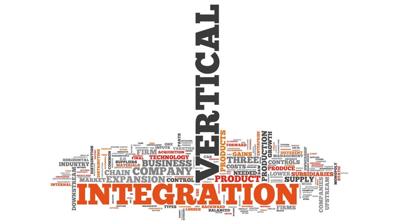 Vertical Integration Word Cloud