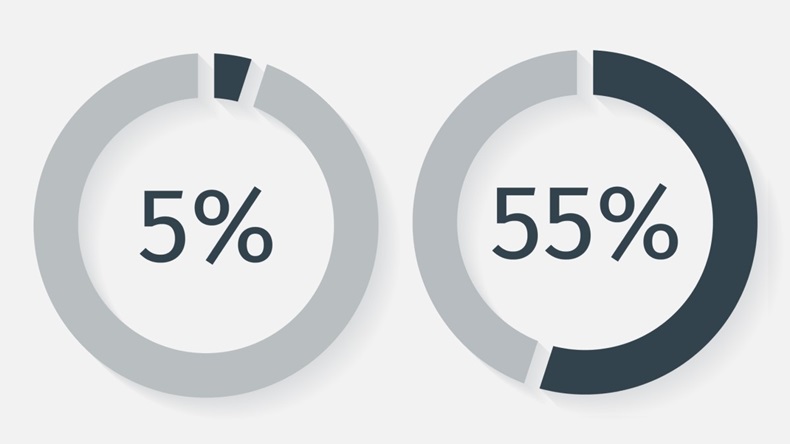 5% 55% Pie Charts