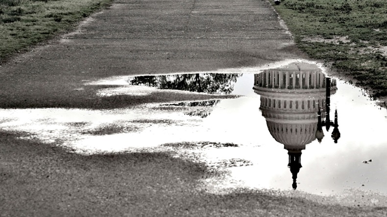 The US Capitol reflected in a puddle