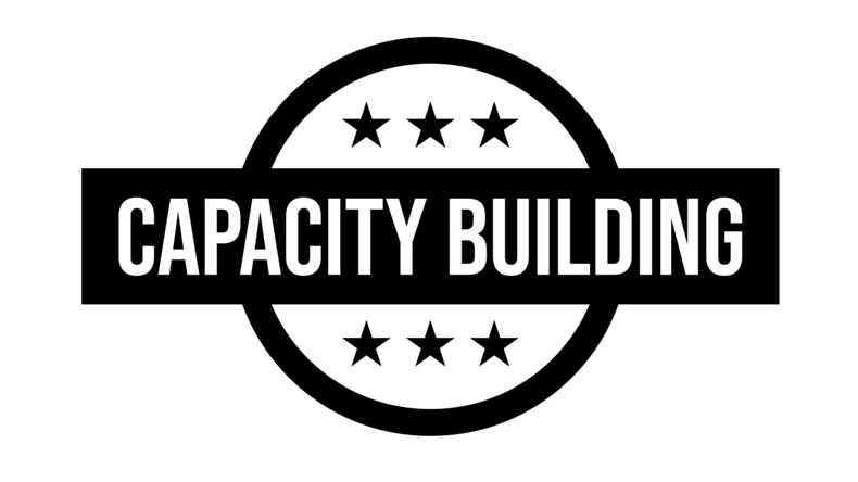 Capacity building