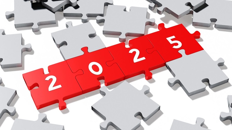 Red jigsaw pieces spelling out '2025'