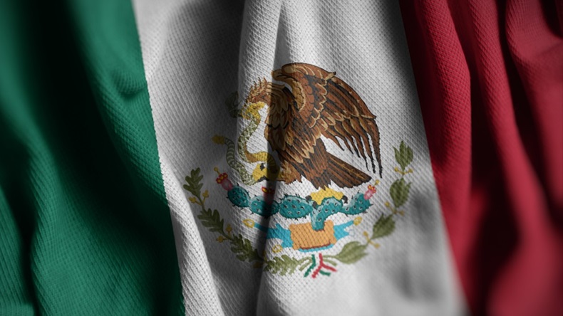 Mexican Flag, Close Up Flag Of Mexico