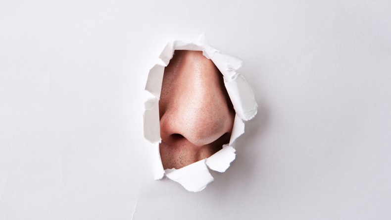 Nose breaking through paper