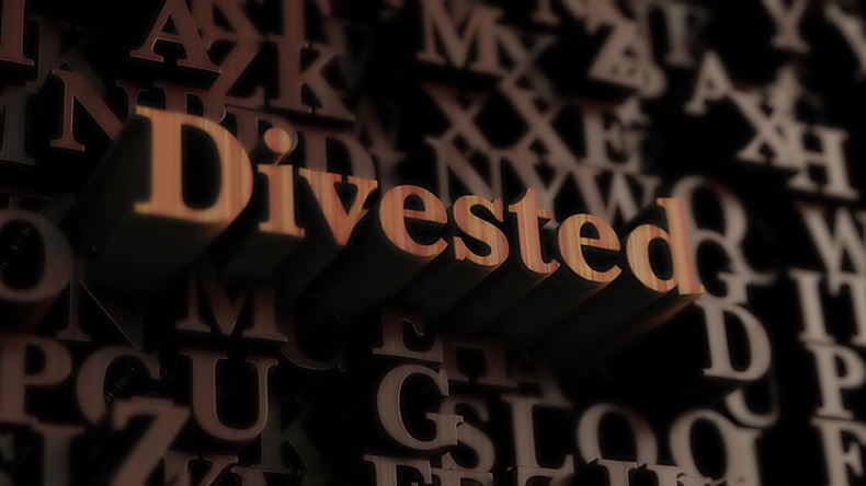 Divested word made of wood
