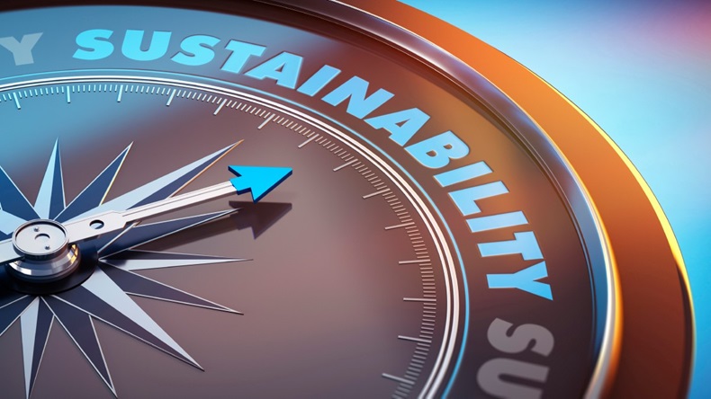 Sustainability compass arrow