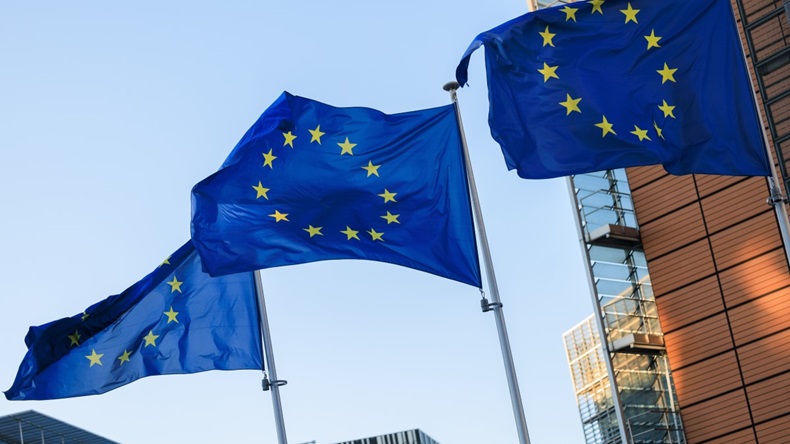 A photograph of EU flags